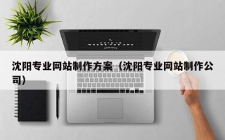 东明沈阳专业网站制作方案（沈阳专业网站制作公司）
